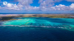 WeShareBonaire191