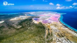 WeShareBonaire835